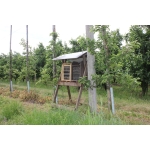 Bee breeding sets